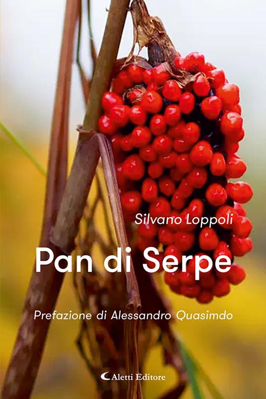 Pan di Serpe - Silvano Loppoli - copertina