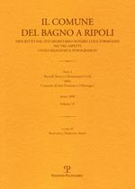 Il Comune del Bagno a Ripoli descritto dal suo segretario notaro Luigi Torrigiani nei tre aspetti civili religioso e topografico. Vol. 6: Ricordi storici e monumenti civili della Contrada di San Donnino a Villamagna.