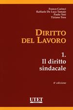 Diritto del lavoro. Vol. 1: Il diritto sindacale