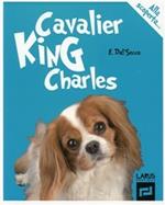 Cavalier King Charles alla scoperta...