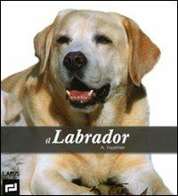 Il labrador. Ediz. illustrata - Alain Fournier - copertina