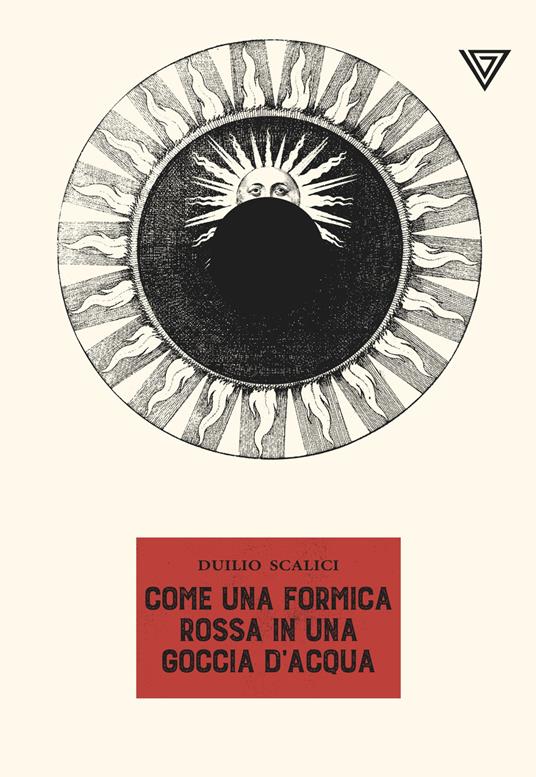 Come una formica rossa in una goccia d'acqua - Duilio Scalici - ebook