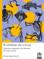 Il vertebrato che è in noi. Anatomia comparata ed evoluzione del corpo umano