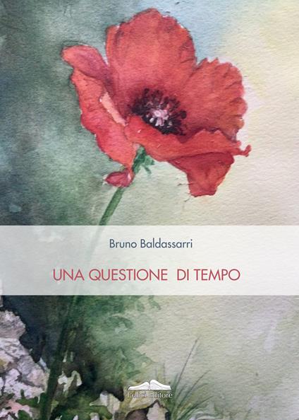 Una questione di tempo - Bruno Baldassarri - copertina