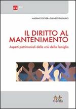 Il diritto al mantenimento. Aspetti patrimoniali della crisi della famiglia