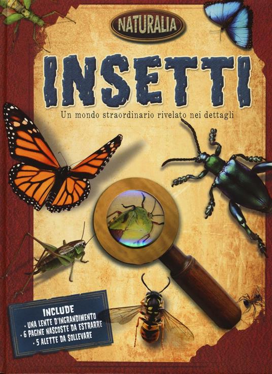 Insetti. Ediz. illustrata - copertina