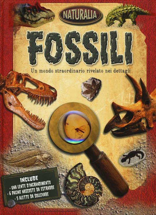 Fossili. Ediz. illustrata - copertina