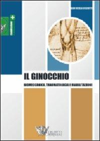 Il ginocchio. Biomeccanica, traumatologia e riabilitazione - Gian Nicola Bisciotti - copertina