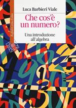 Che cos'è un numero. Un'introduzione all'algebra