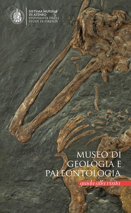 Museo di geologia e palentologia. Guida alla visita - Elisabetta Cioppi,Stefano Dominici,Luca Bellucci - copertina