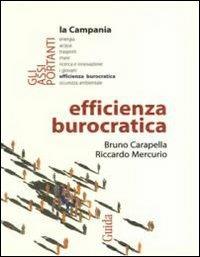 Efficienza burocratica - Bruno Carapella,Riccardo Mercurio - copertina