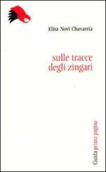 Sulle tracce degli zingari