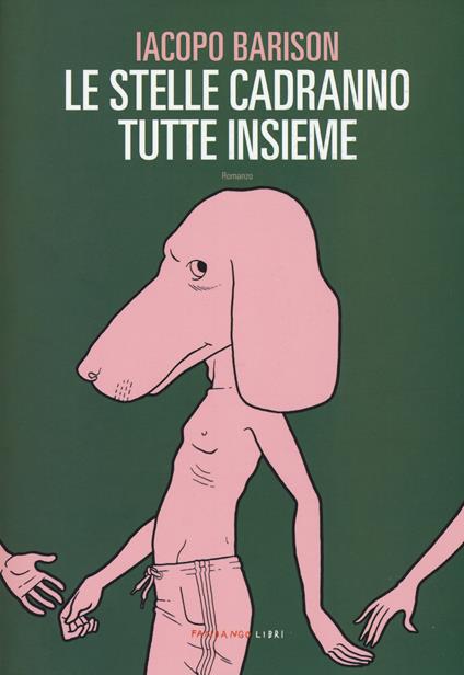 Le stelle cadranno tutte insieme - Iacopo Barison - copertina