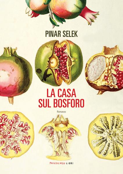 La casa sul Bosforo - Pinar Selek,Camilla Diez,Ada Tosatti - ebook