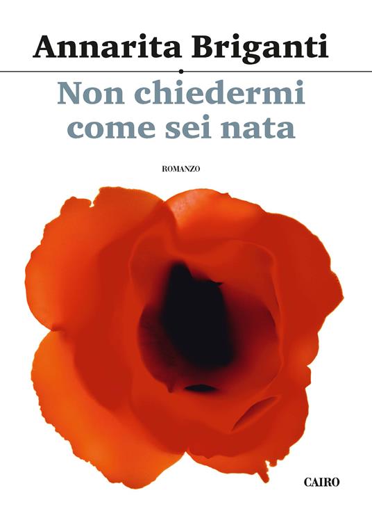 Non chiedermi come sei nata - Annarita Briganti - ebook