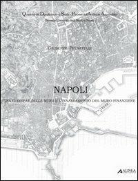 Napoli: tra il disfar delle mura e l'innalzamento del muro finanziere - Giuseppe Pignatelli - copertina