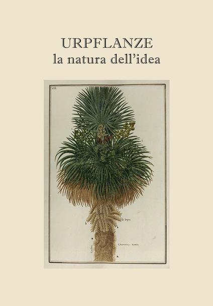 Urpflanze, la natura dell'idea. Ediz. multilingue - Alberto M. Martini - copertina