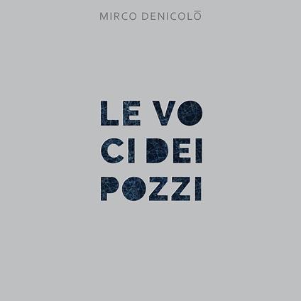 Le voci dei pozzi - Mirco Denicolò - copertina