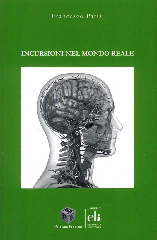 Incursioni nel mondo reale - Francesco Parisi - copertina