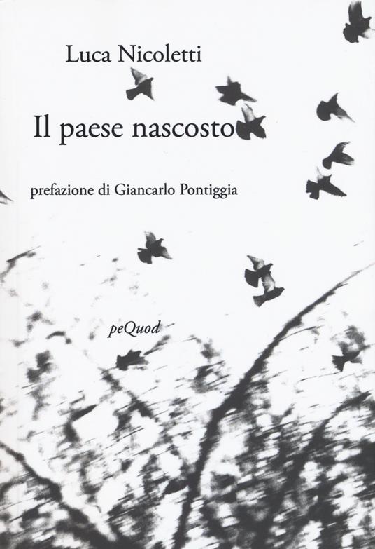 Il paese nascosto - Luca Nicoletti - copertina