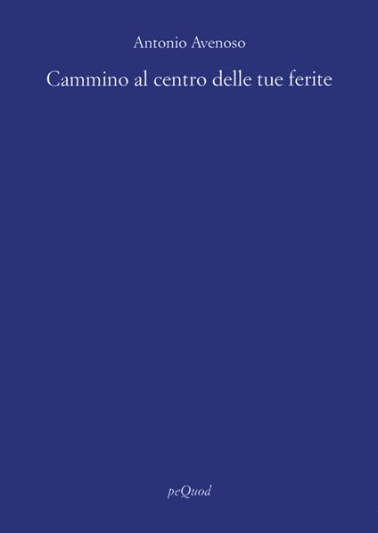 Cammino al centro delle tue ferite - Antonio Avenoso - copertina