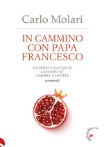 In cammino con papa Francesco. Evangelii Gaudium, Laudato si', Amoris laetitia. Commenti