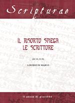 Il Risorto spiega le Scritture. (Lc 24, 13-35)