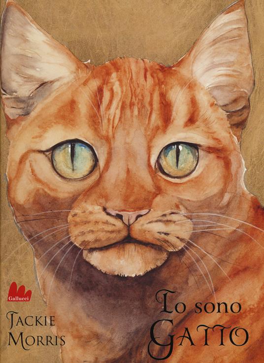 Io sono gatto. Ediz. illustrata - Jackie Morris - copertina