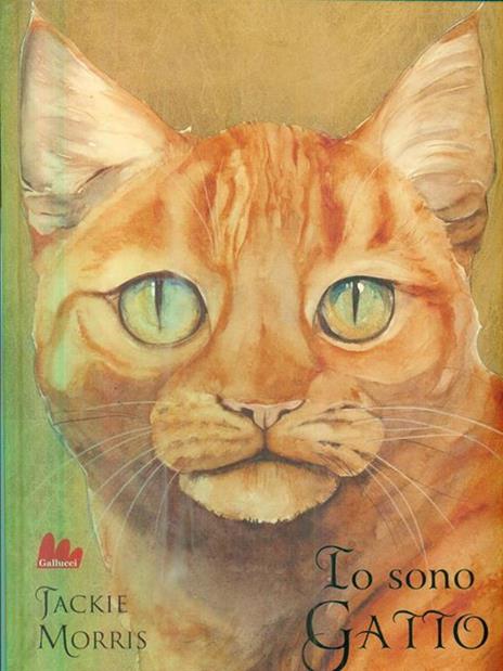 Io sono gatto. Ediz. illustrata - Jackie Morris - 3