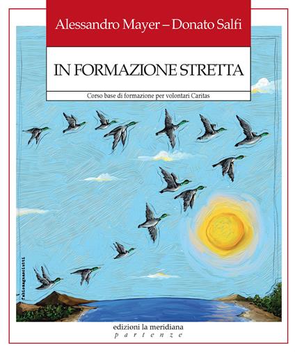 In formazione stretta. Corso base di formazione per volontari Caritas - Alessandro Mayer,Donato Salfi - copertina