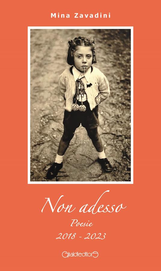 Non adesso. Poesie 2018-2023 - Mina Zavadini - copertina