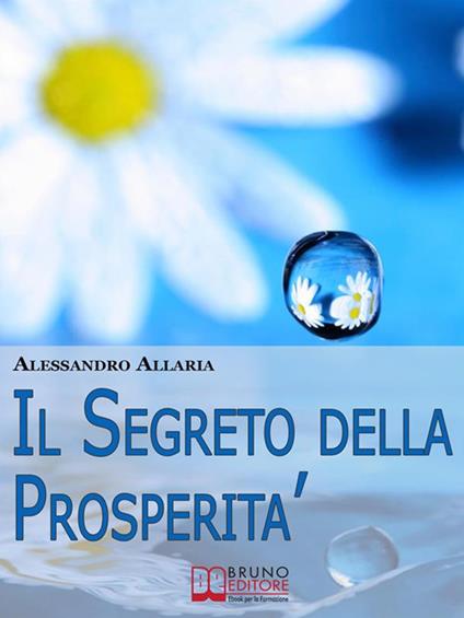 Il segreto della prosperità - Alessandro Allaria - ebook