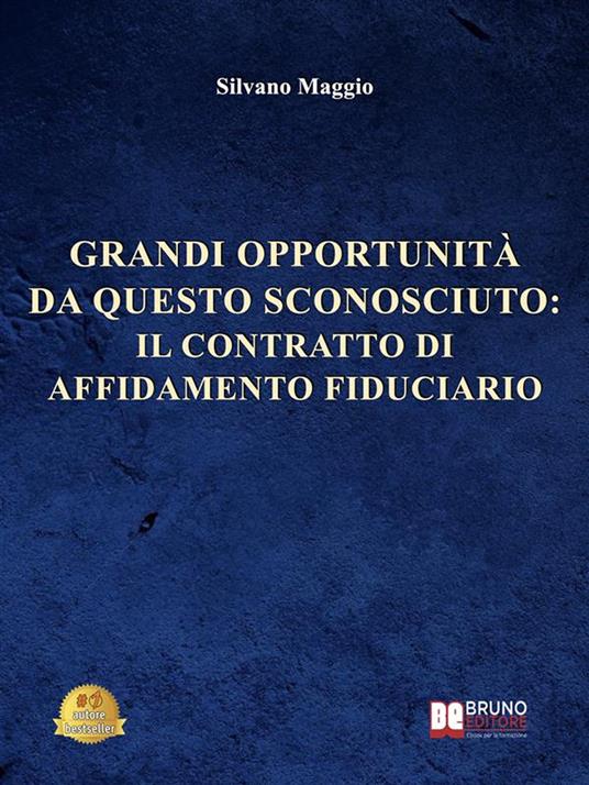 Grandi opportunità da questo sconosciuto: il contratto di affidamento fiduciario - Silvano Maggio - ebook