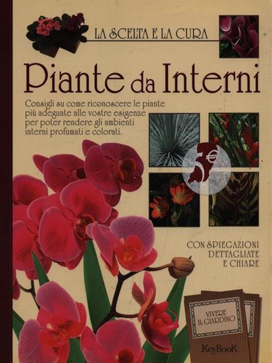 Piante da interni - 3