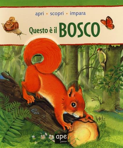 Questo è il bosco. Apri, scopri, impara - Zora - copertina