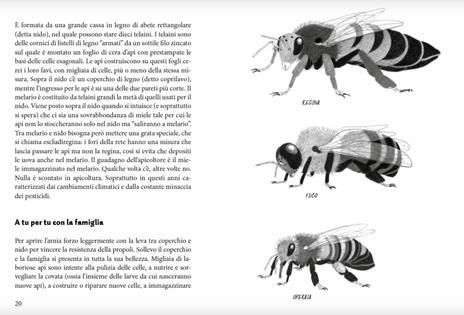 Io sto con le api. Conoscere, proteggere e amare un mondo in pericolo - Dario Paladini - 4