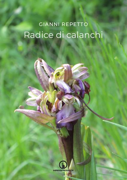 Radice di calanchi - Gianni Repetto - copertina