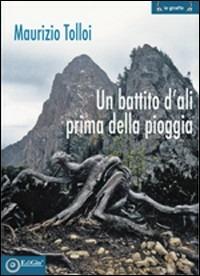 Un battito d'ali prima della pioggia - Maurizio Tolloi - copertina