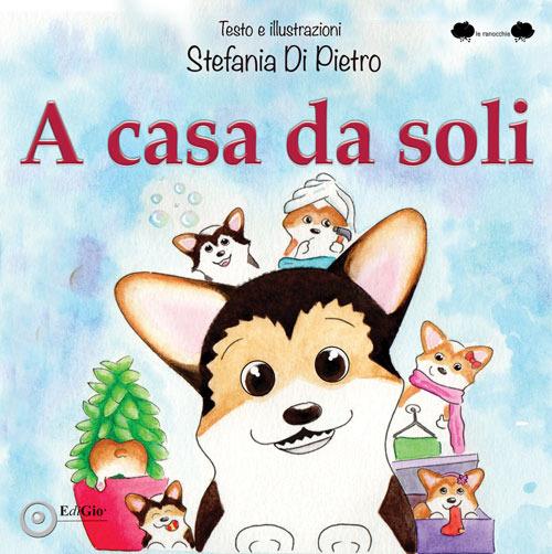 A casa da soli. Ediz. a caratteri grandi - Stefania Di Pietro - copertina