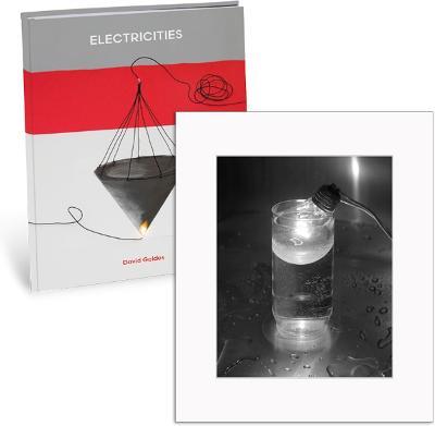 Electricities. Ediz. limitata - David Goldes - copertina