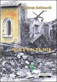 Non è colpa mia - Andrea Schinardi - copertina