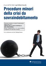 Procedure minori della crisi da sovraindebitamento. Percorso evolutivo e nozioni fondamentali aggiornate con il Codice della crisi d'impresa e dell'insolvenza