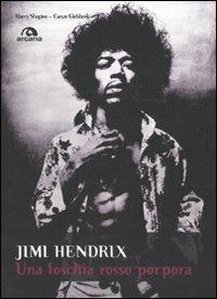 Jimi Hendrix. Una foschia rosso porpora - Harry Shapiro,Caesar Glebbeek - copertina