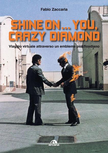 Shine on... you, crazy diamond. Viaggio virtuale all'interno di un emblema pinkfloydiano - Fabio Zaccaria - ebook