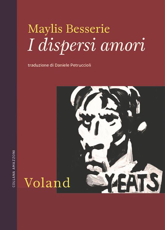 I dispersi amori - Maylis Besserie - copertina