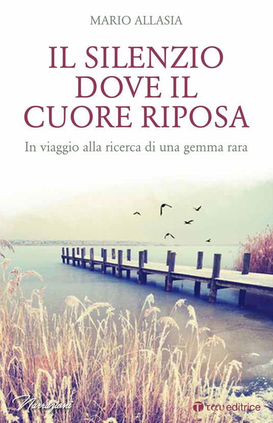 Il silenzio dove il cuore riposa. In viaggio alla ricerca di una gemma rara - Mario Allasia - copertina