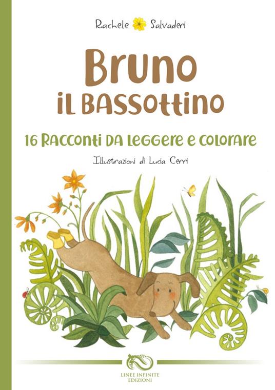 Bruno il bassottino. 16 racconti da leggere e colorare. Ediz. illustrata - Rachele Salvaderi - copertina