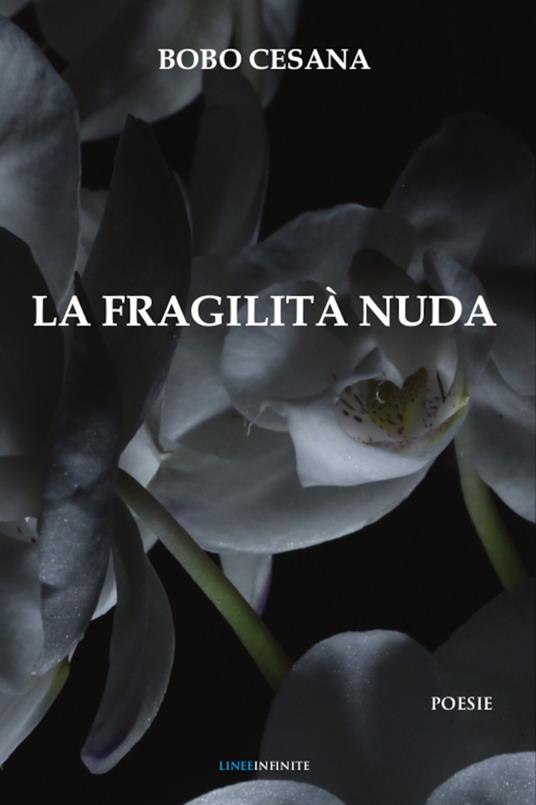 La fragilità nuda - Bobo - copertina