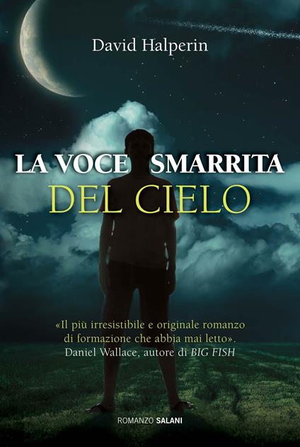 La voce smarrita del cielo - David Halperin - copertina