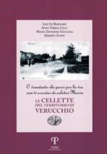 Le cellette del territorio di Verucchio. O viandante che passi per la via non ti scordar di salutare Maria